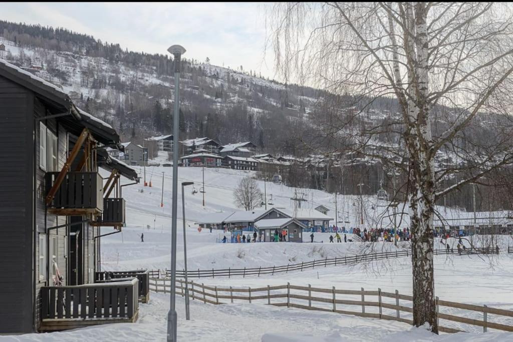 Friends & Family Apartment At Hafjell Alpinlandsby/Oyer Center Екстериор снимка