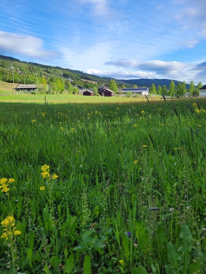 Friends & Family Apartment At Hafjell Alpinlandsby/Oyer Center Екстериор снимка